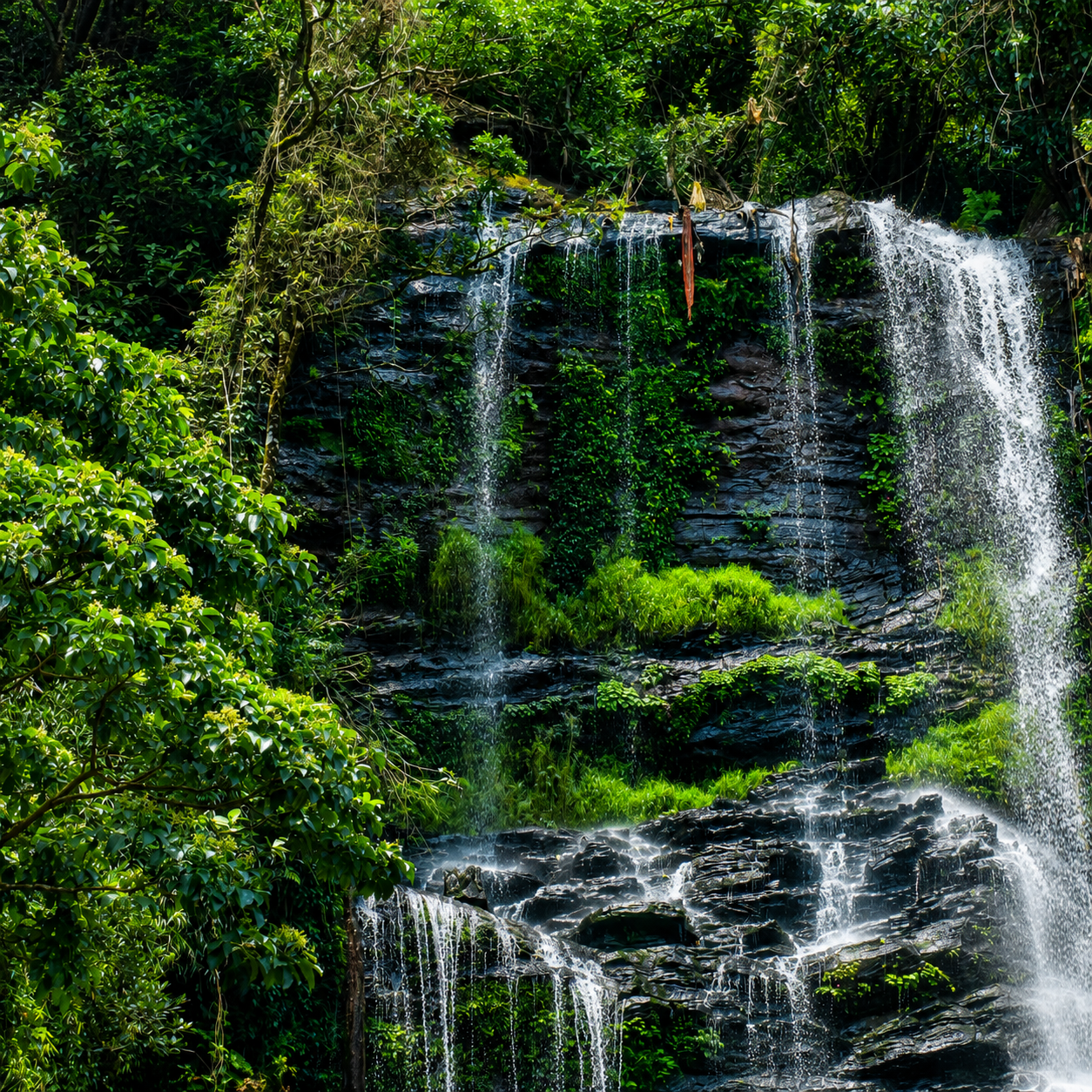 Chikmagalur — travel with Manoj Tours and Travels