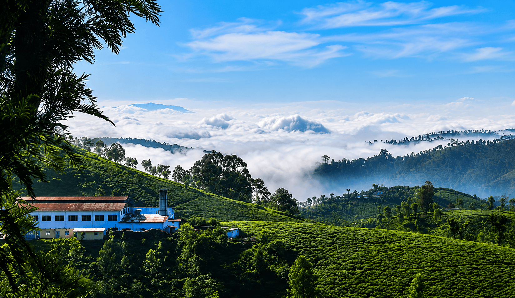 Coonoor — travel with Manoj Tours and Travels