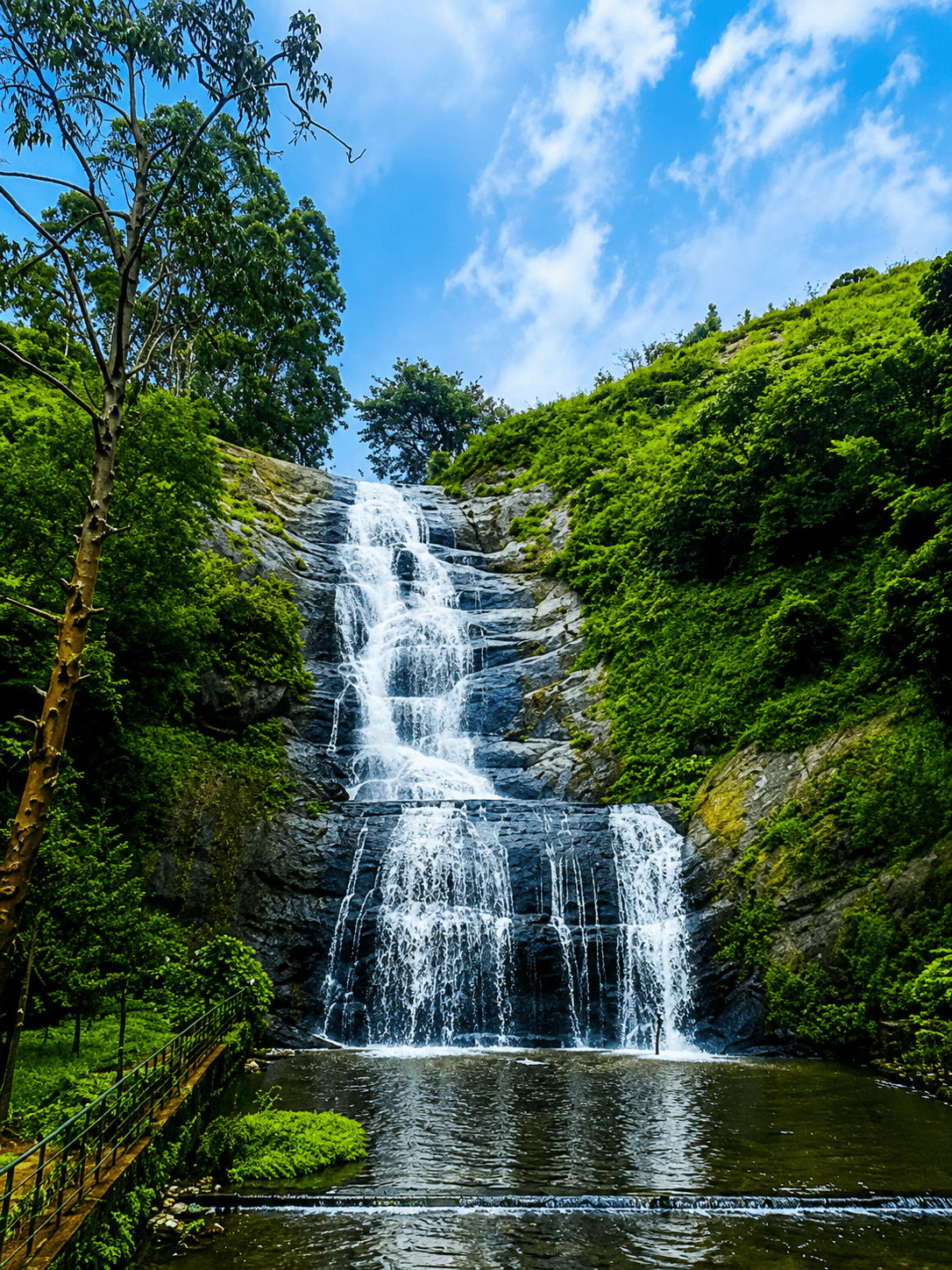 Kodaikanal — travel with Manoj Tours and Travels