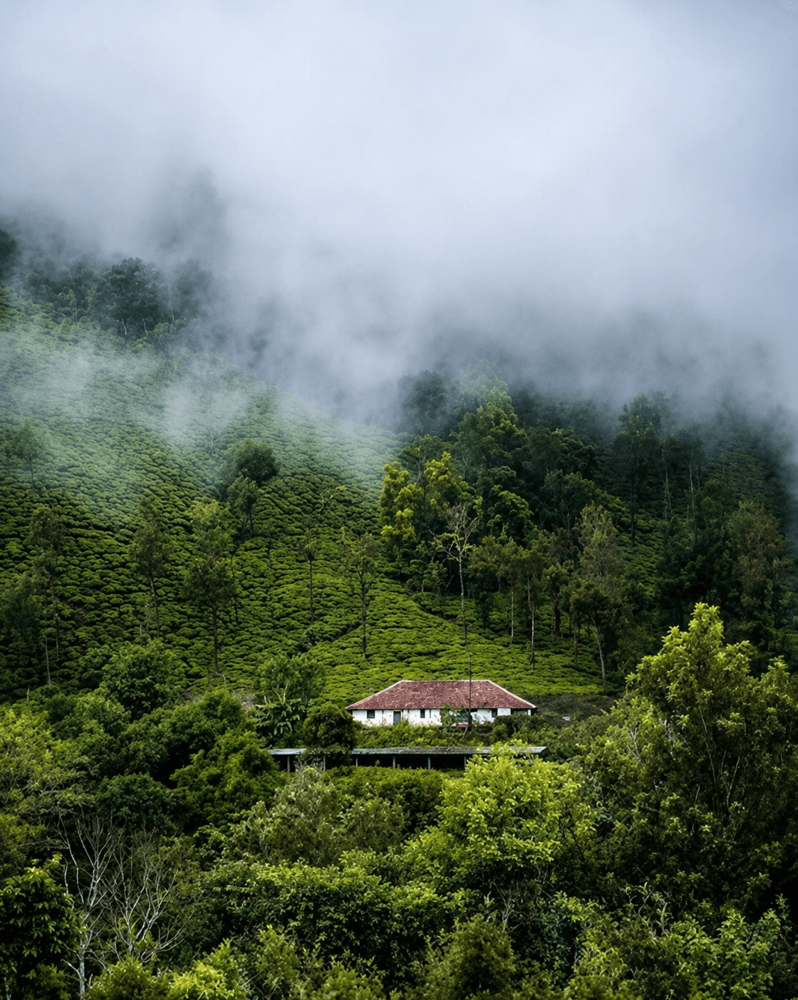 Madikeri — travel with Manoj Tours and Travels