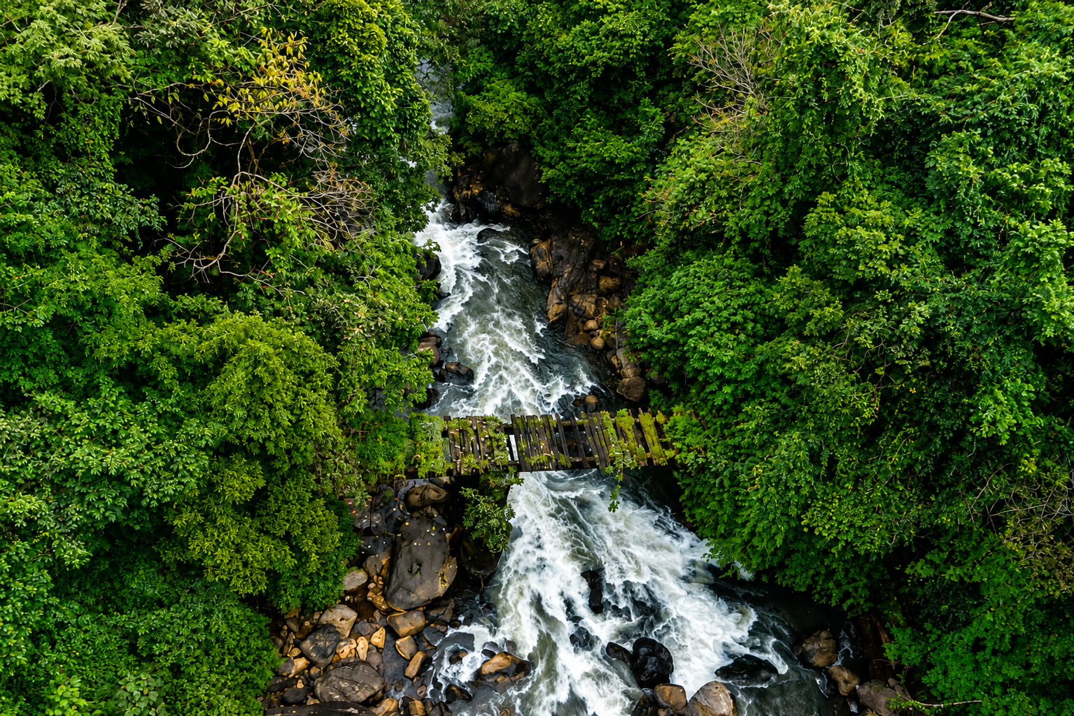 Sakleshpur — travel with Manoj Tours and Travels